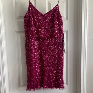 Women’s Pink Shimmering Semi Formal Cocktail Dress